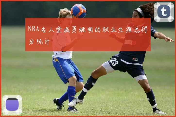 NBA名人堂成员姚明的职业生涯总得分统计