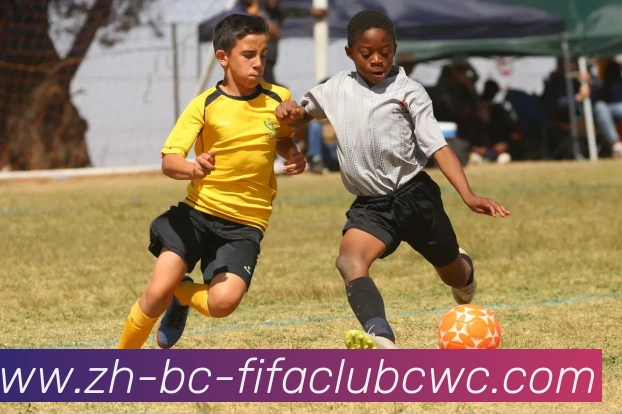 世界杯平台APP 封面图