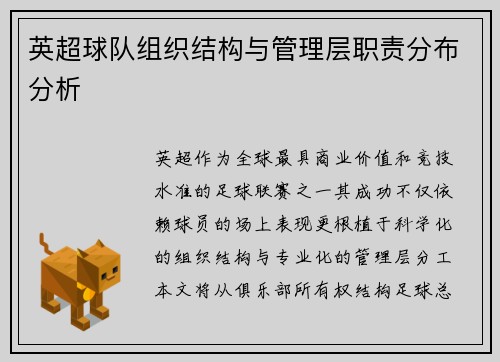 英超球队组织结构与管理层职责分布分析